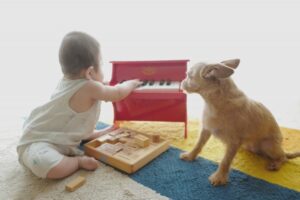 ピアノと赤ちゃん